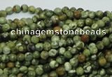 CPS54 15.5 inches 4mm faceted round green peacock stone beads