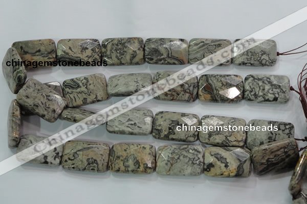 CPT131 15.5 inches 20*30mm faceted rectangle grey picture jasper beads