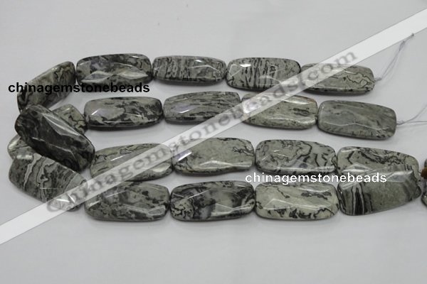 CPT132 15.5 inches 20*40mm faceted rectangle grey picture jasper beads