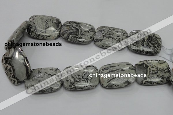 CPT133 15.5 inches 30*40mm faceted rectangle grey picture jasper beads