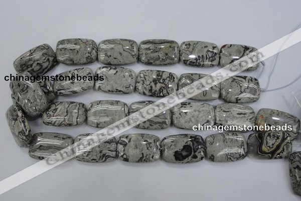 CPT182 15.5 inches 20*30mm rectangle grey picture jasper beads