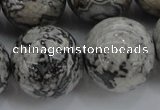 CPT191 15.5 inches 16mm round grey picture jasper beads wholesale