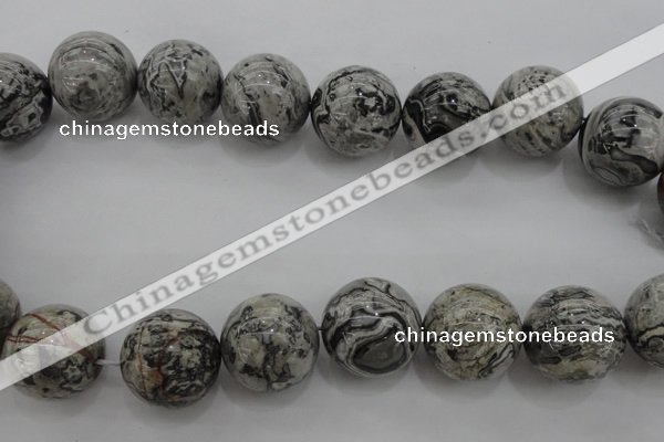 CPT193 15.5 inches 20mm round grey picture jasper beads wholesale