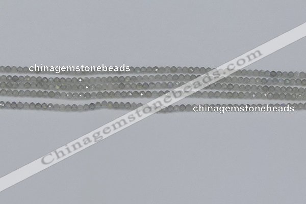 CRB1936 15.5 inches 2*3mm faceted rondelle labradorite beads