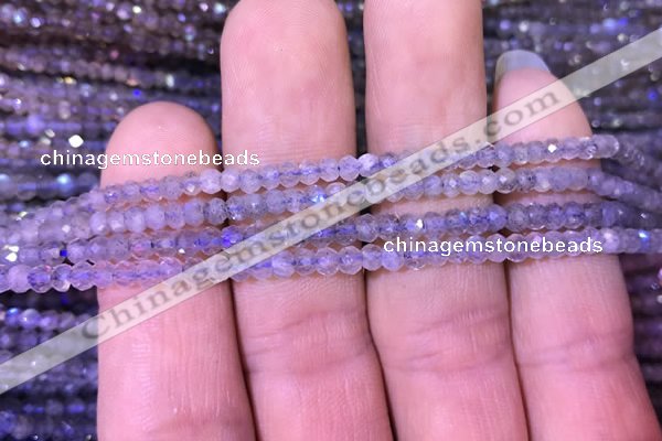 CRB1980 15.5 inches 3*4mm faceted rondelle labradorite beads