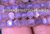 CRB1981 15.5 inches 3*5mm faceted rondelle labradorite beads