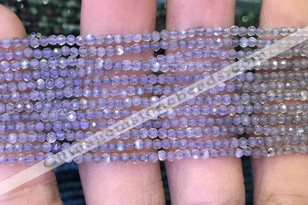 CRB2660 15.5 inches 1.5*2mm faceted rondelle labradorite beads