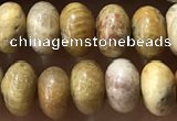 CRB5321 15.5 inches 4*6mm rondelle fossil coral beads wholesale