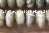 CRB5336 15.5 inches 5*8mm rondelle fossil coral beads wholesale