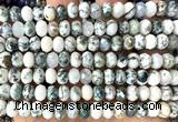 CRB6216 15 inches 5*8mm faceted rondelle tree agate beads