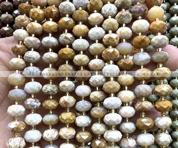 CRB6382 15 inches 6*10mm faceted rondelle fossil coral beads