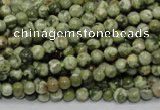 CRH110 15.5 inches 4mm round rhyolite gemstone beads wholesale