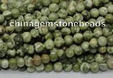 CRH110 15.5 inches 4mm round rhyolite gemstone beads wholesale