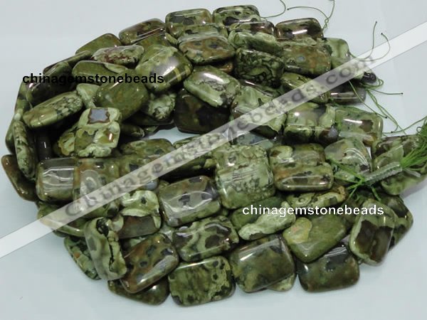 CRH28 15.5 inches 22*30mm rectangle rhyolite beads wholesale