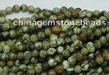 CRH54 15.5 inches 4mm faceted round rhyolite beads wholesale