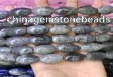 CRI305 15.5 inches 10*25mm rice labradorite beads wholesale