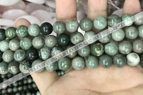 CRM203 15.5 inches 10mm round green mud jasper beads wholesale