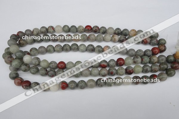 CRO190 15.5 inches 10mm round bloodstone beads wholesale