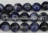 CRO239 15.5 inches 10mm round sodalite gemstone beads wholesale