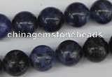 CRO344 15.5 inches 12mm round sodalite gemstone beads wholesale