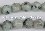 CRO383 15.5 inches 14mm round kiwi stone beads wholesale