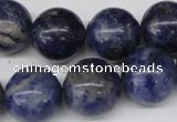 CRO422 15.5 inches 16mm round sodalite gemstone beads wholesale