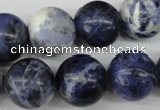 CRO423 15.5 inches 16mm round sodalite gemstone beads wholesale