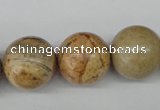 CRO485 15.5 inches 18mm round picture jasper beads wholesale