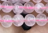 CRQ416 15.5 inches 6mm round rose quartz beads wholesale