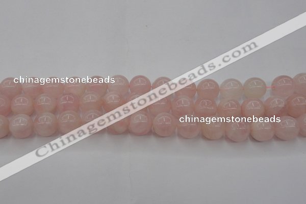 CRQ672 15.5 inches 10mm round rose quartz beads wholesale