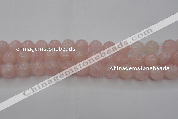 CRQ673 15.5 inches 12mm round rose quartz beads wholesale