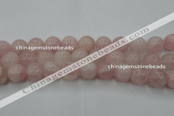 CRQ675 15.5 inches 16mm round rose quartz beads wholesale