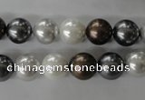 CSB1054 15.5 inches 10mm round mixed color shell pearl beads