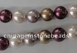 CSB1059 15.5 inches 10mm round mixed color shell pearl beads