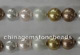 CSB1064 15.5 inches 10mm round mixed color shell pearl beads