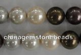 CSB1083 15.5 inches 12mm round mixed color shell pearl beads