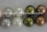 CSB1085 15.5 inches 12mm round mixed color shell pearl beads