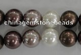 CSB1087 15.5 inches 12mm round mixed color shell pearl beads