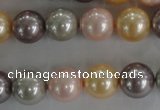 CSB1093 15.5 inches 12mm round mixed color shell pearl beads
