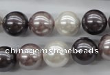 CSB1123 15.5 inches 14mm round mixed color shell pearl beads