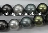 CSB1126 15.5 inches 14mm round mixed color shell pearl beads