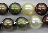 CSB1128 15.5 inches 14mm round mixed color shell pearl beads