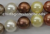 CSB1132 15.5 inches 14mm round mixed color shell pearl beads