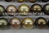 CSB1134 15.5 inches 14mm round mixed color shell pearl beads