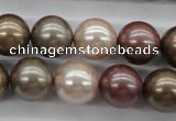 CSB1141 15.5 inches 14mm round mixed color shell pearl beads