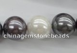 CSB1150 15.5 inches 16mm round mixed color shell pearl beads