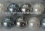 CSB1151 15.5 inches 16mm round mixed color shell pearl beads