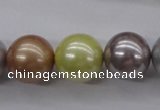 CSB1155 15.5 inches 16mm round mixed color shell pearl beads