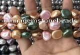 CSB2158 15.5 inches 14*14mm - 15*15mm baroque mixed shell pearl beads