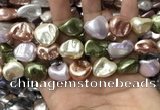 CSB2177 15.5 inches 16*16mm - 20*22mm baroque mixed shell pearl beads